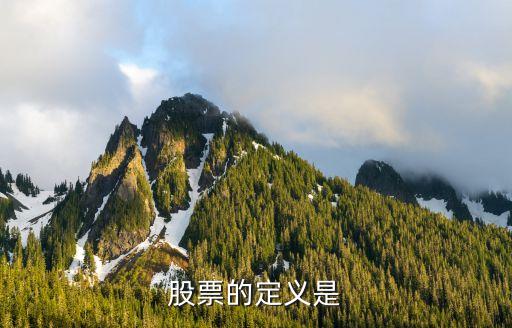 股票是根据什么定义的，股票的定义