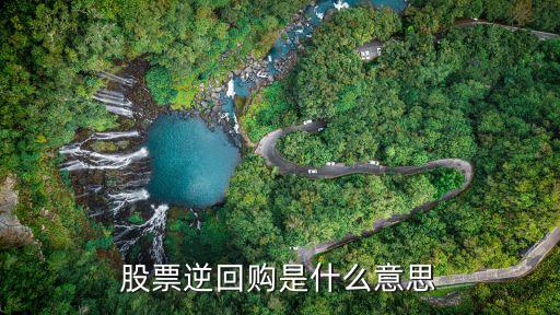 什么是股票逆回购，股份逆回购是什么意思