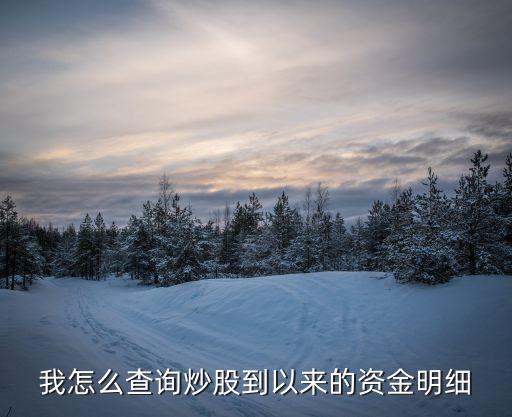 我怎么查询炒股到以来的资金明细