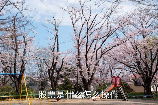 股票操作和理念是什么，什么是炒股理念