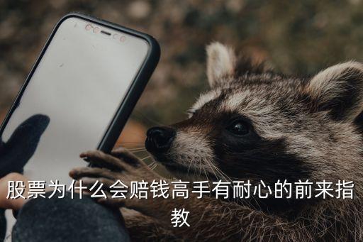 股票为什么会赔钱高手有耐心的前来指教
