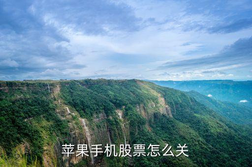 苹果手机股票怎么关