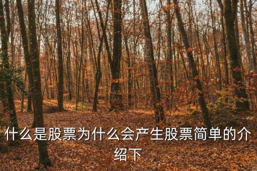 为什么会产生股票呢，股票是怎么形成的