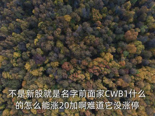 不是新股就是名字前面家CWB1什么的怎么能涨20加啊难道它没涨停