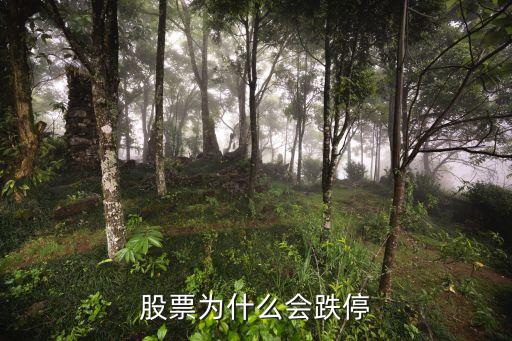 股票为什么会跌停