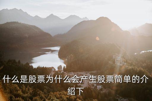 什么是股票为什么会产生股票简单的介绍下