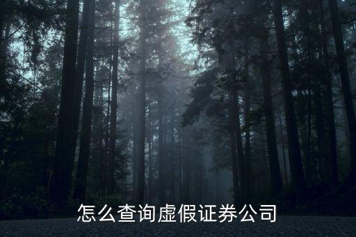 怎么查询虚假证券公司