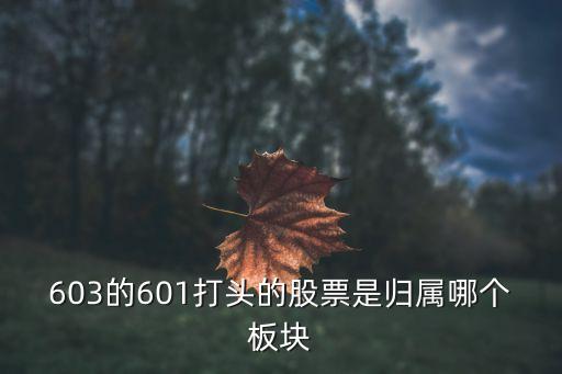 603的601打头的股票是归属哪个板块