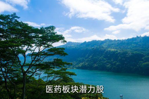 医药板块潜力股