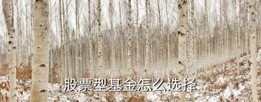 股票型基金怎么选择