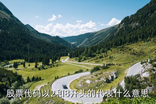 股票代码以2和8开头的代表什么意思