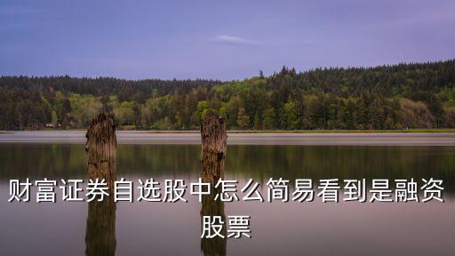 财富证券自选股中怎么简易看到是融资股票