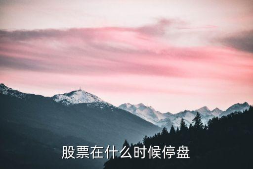 股票在什么时候停盘