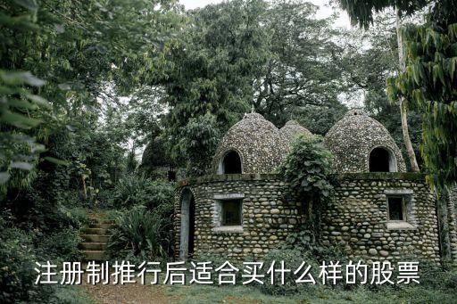 注册股民可以买什么股票，注册制推行后适合买什么样的股票