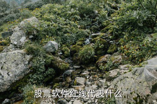 股票软件红线代表什么