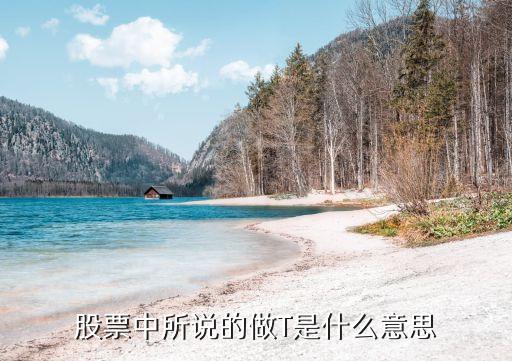 股票中所说的做T是什么意思