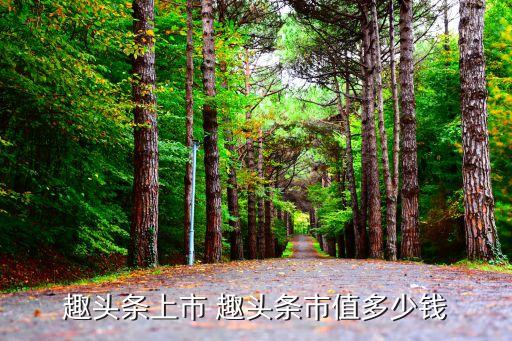 趣头条上市 趣头条市值多少钱