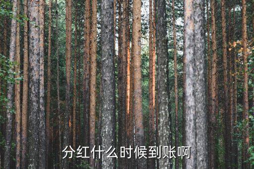 分红什么时候到账啊