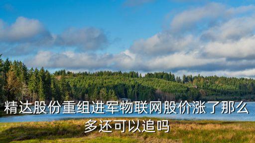 精达股份重组进军物联网股价涨了那么多还可以追吗