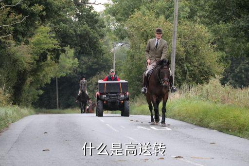 什么是高送转