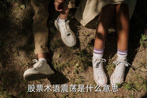 股票术语震荡是什么意思