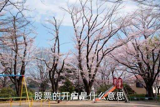 股票的开户是什么意思