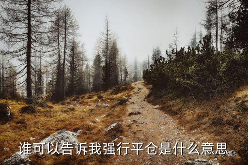 谁可以告诉我强行平仓是什么意思