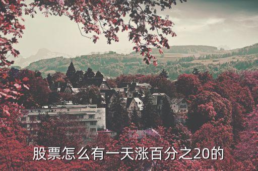 股票怎么有一天涨百分之20的