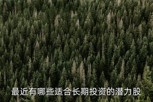 什么股票最有潜力可以长期，那些股票可长期持有