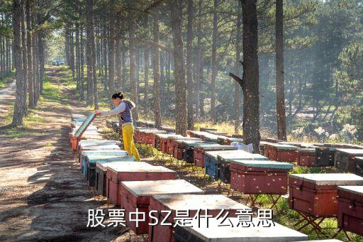 股票中SZ是什么意思