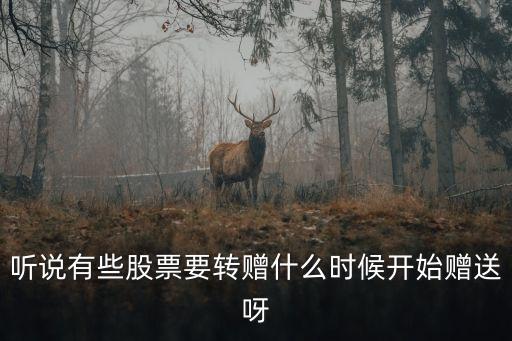 听说有些股票要转赠什么时候开始赠送呀