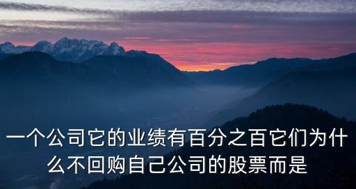 一个公司它的业绩有百分之百它们为什么不回购自己公司的股票而是