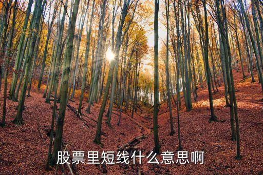 股票里短线什么意思啊