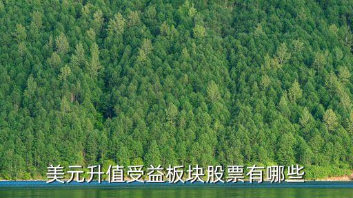 美元升值受益板块股票有哪些