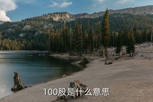 100股是什么意思