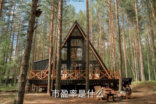 市盈率是什么
