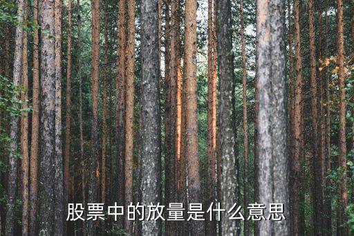股票猪肉荣什么意思，股市里大家口中的猪肉荣是啥意思