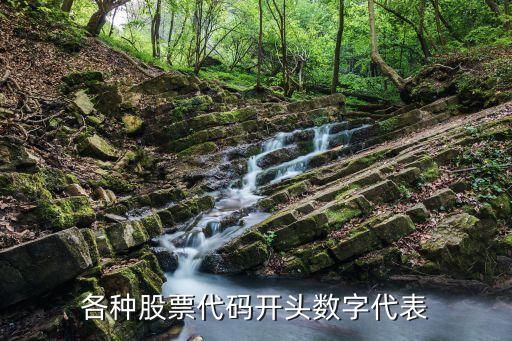 各种股票代码开头数字代表