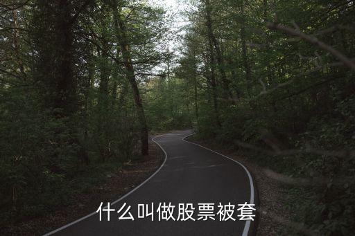 什么叫做股票被套
