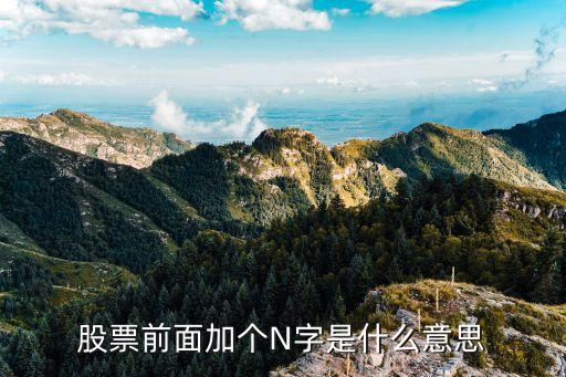 股票前面加个N字是什么意思