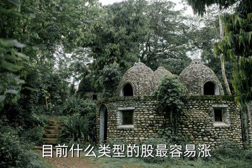 目前什么类型的股最容易涨