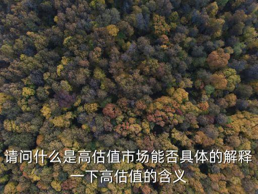 请问什么是高估值市场能否具体的解释一下高估值的含义