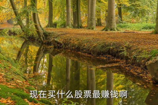 现在买什么股票最赚钱啊