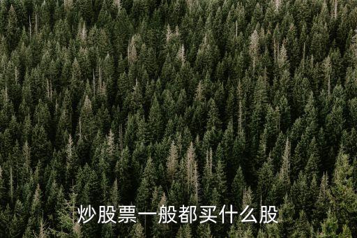 炒股票一般都买什么股