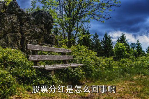 股票分红是怎么回事啊