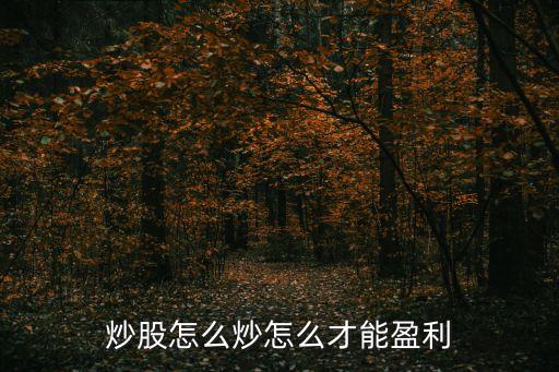 炒股怎么炒怎么才能盈利