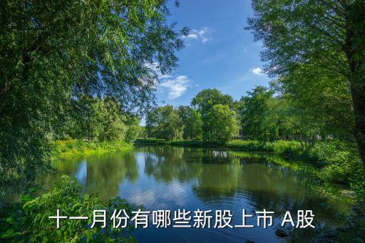 十一月份有哪些新股上市 A股