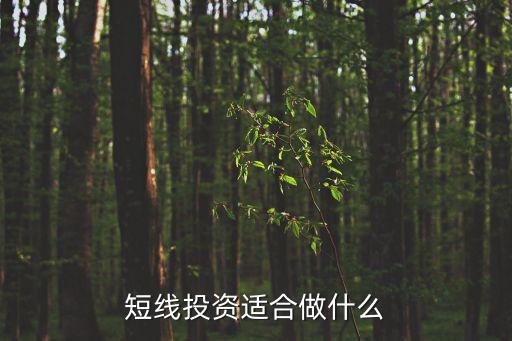 短线投资适合做什么