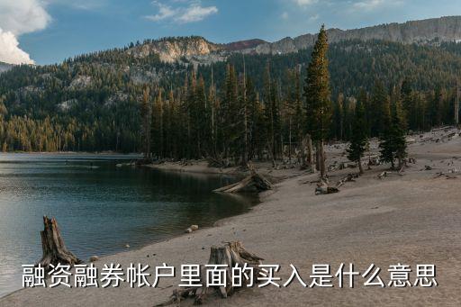 融资融券帐户里面的买入是什么意思