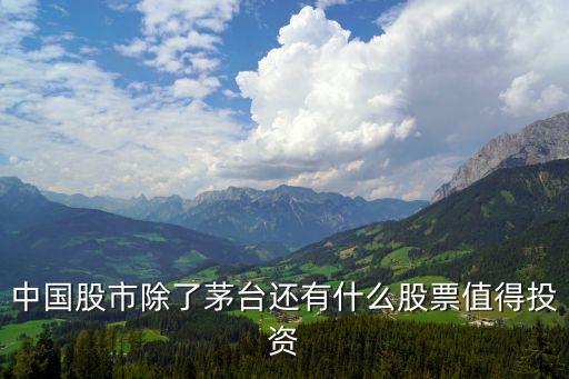 股票什么茅，中国股市除了茅台还有什么股票值得投资